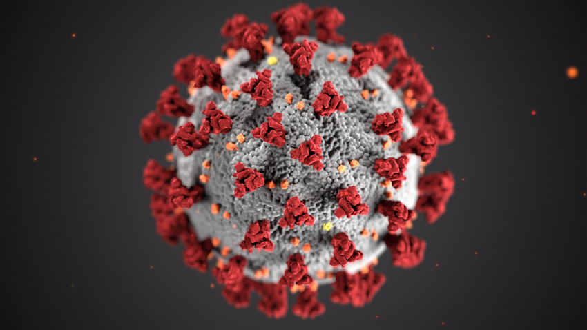Microsimulation modelling of policy responses to COVID-19